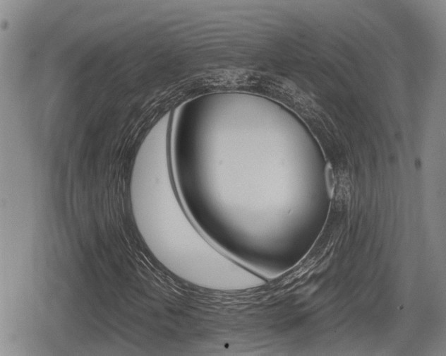 X0000079281202200611170818