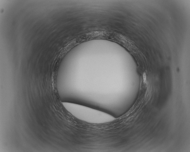 X0000079281203200611170818