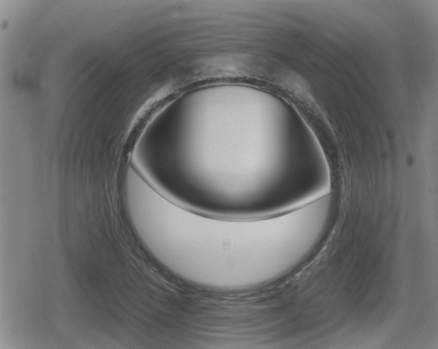 X0000079281218200611170818