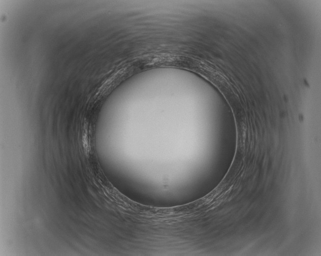 X0000079281250200611170818