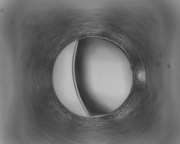 X0000079281252200611170818
