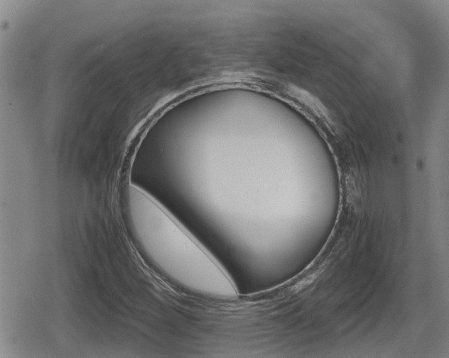 X0000079281260200611170818