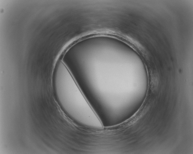 X0000079281272200611170818