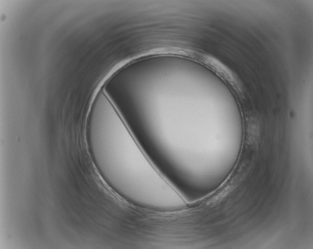 X0000079281284200611170817