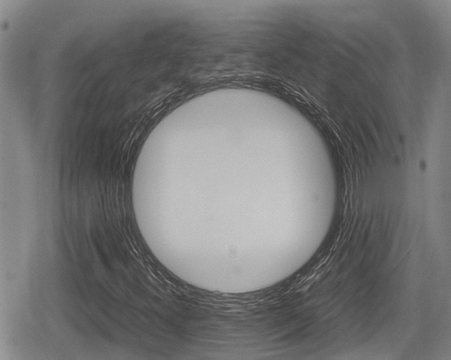 X0000079281300200611170817