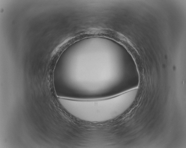 X0000079281304200611170817