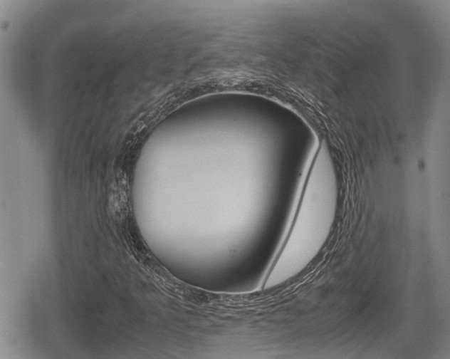 X0000079281349200611170816