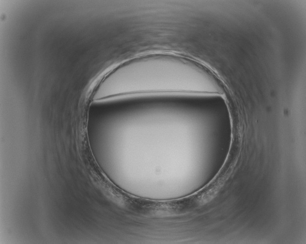 X0000079281359200611170816