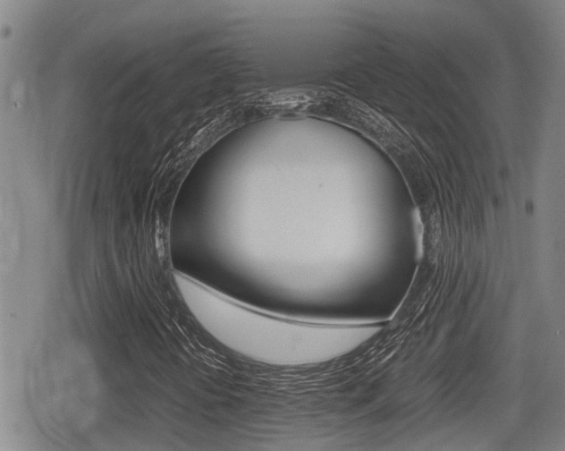 X0000079281394200611170815