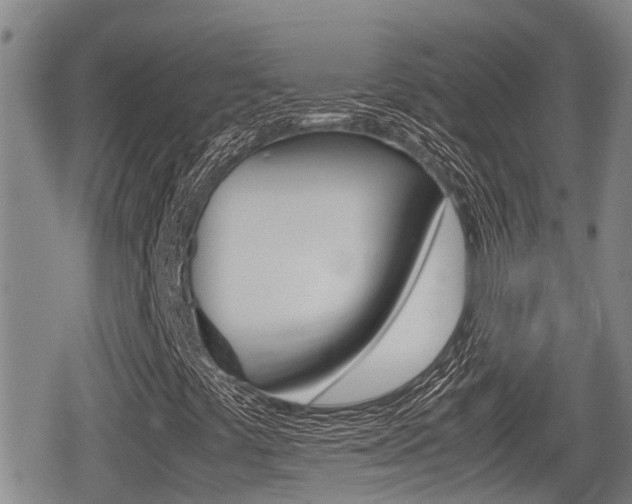 X0000079281441200611170815