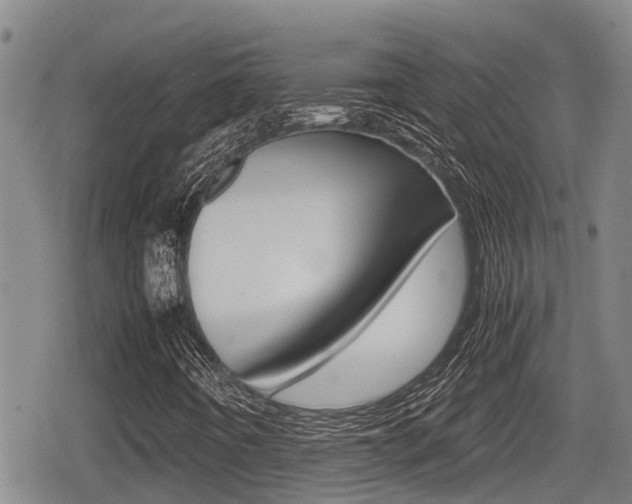 X0000079281442200611170815