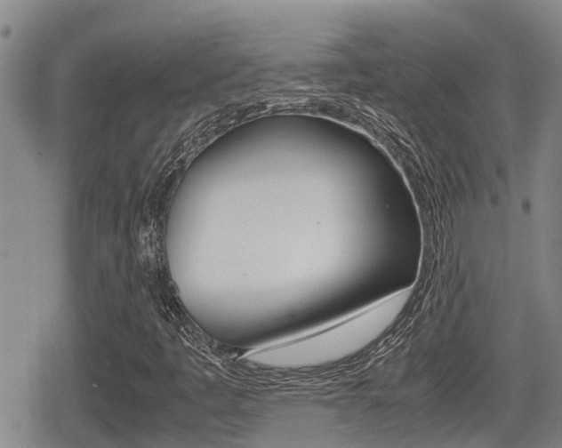 X0000079281445200611170815