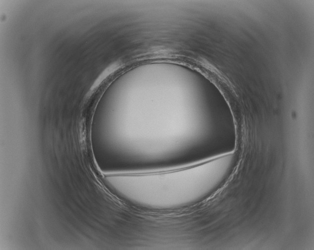 X0000079281450200611170815