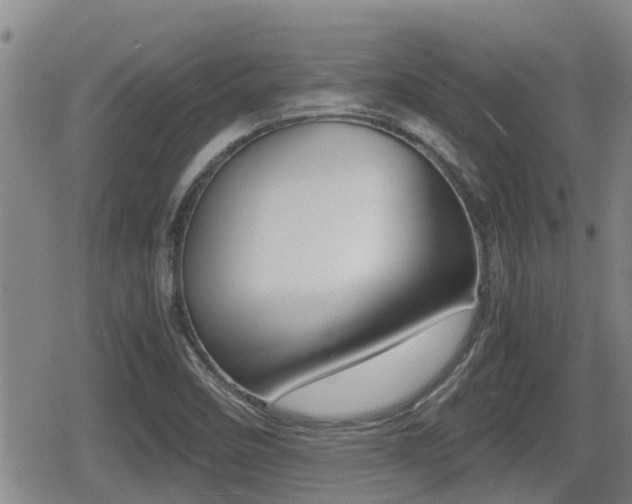 X0000079281458200611170815