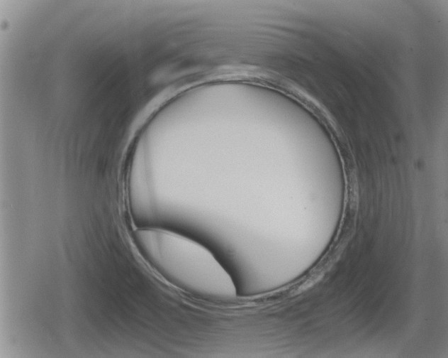 X0000079281467200611170815