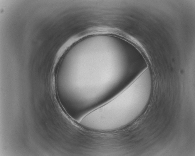 X0000079281472200611170814