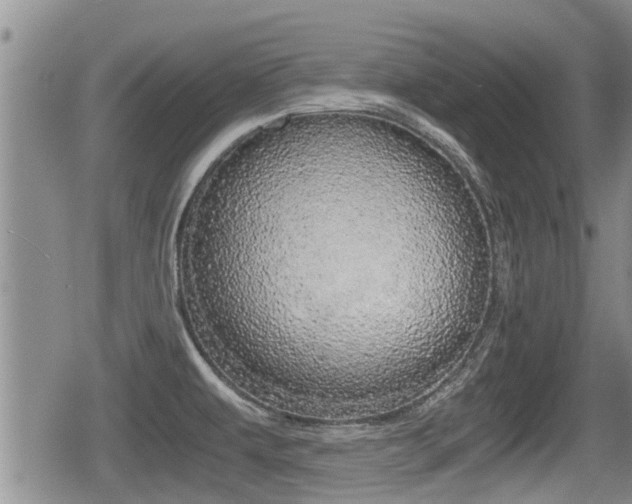 X0000079281479200611170814