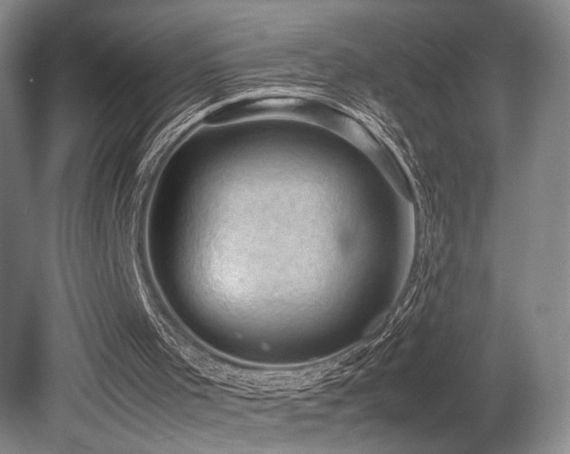 X0000079280001200611171037