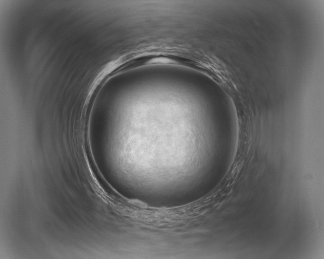 X0000079280003200611171037