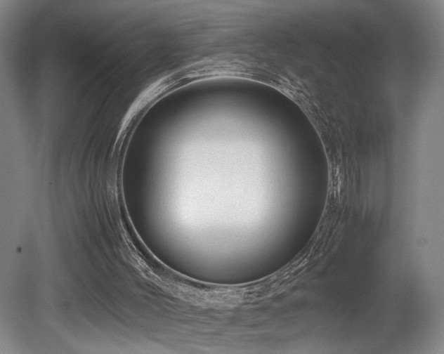 X0000079280004200611171037