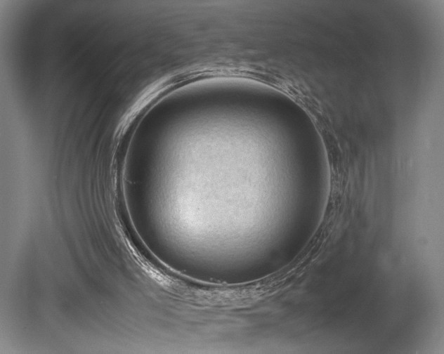 X0000079280005200611171037