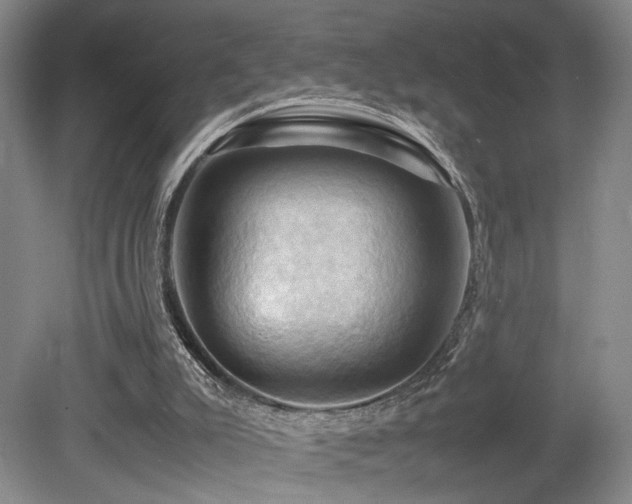 X0000079280007200611171037