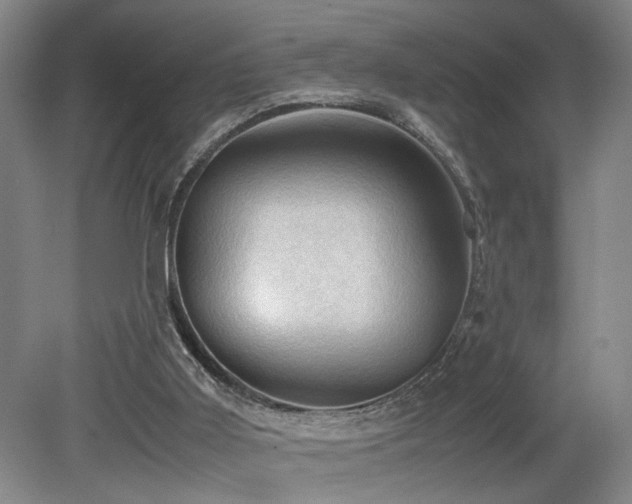 X0000079280011200611171037