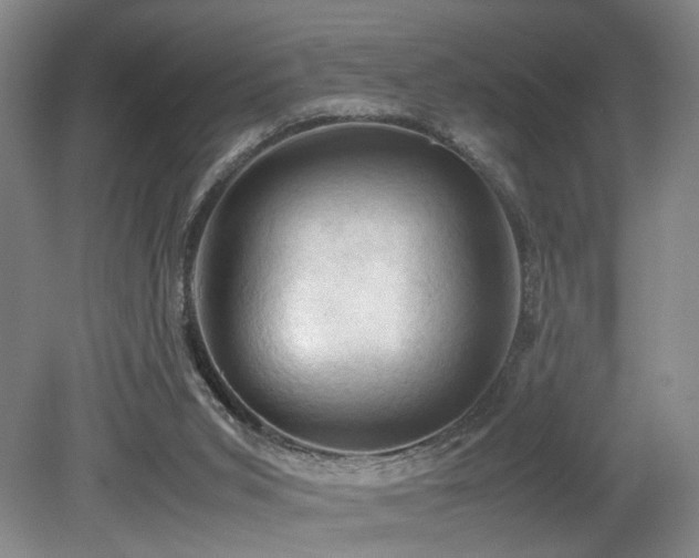 X0000079280015200611171037