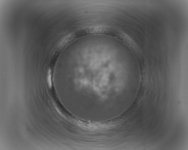 X0000079280022200611171037