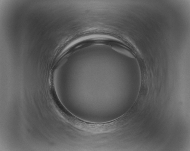 X0000079280023200611171037