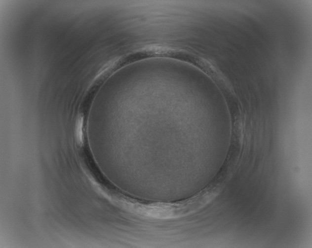 X0000079280024200611171037