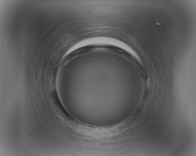 X0000079280031200611171037