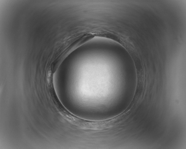 X0000079280033200611171037