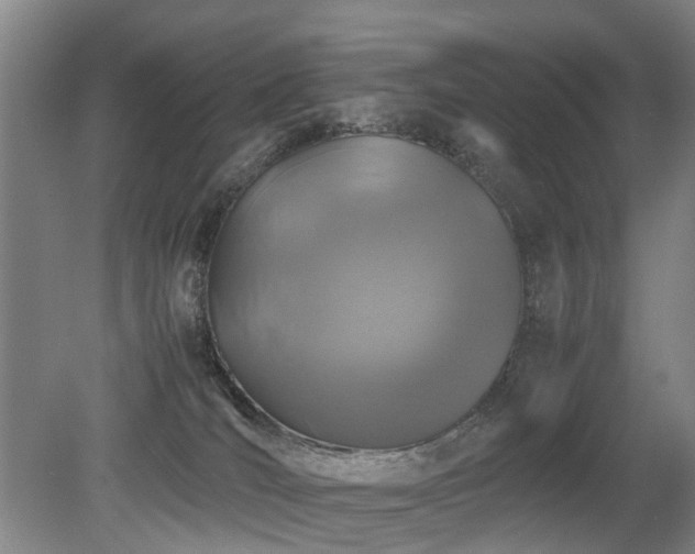 X0000079280036200611171037