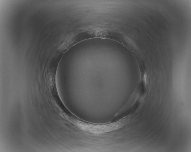 X0000079280039200611171037