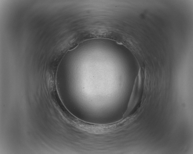 X0000079280040200611171037