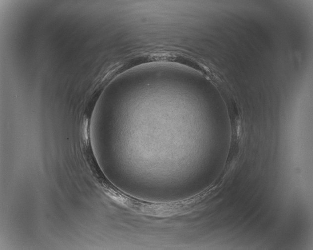 X0000079280041200611171037
