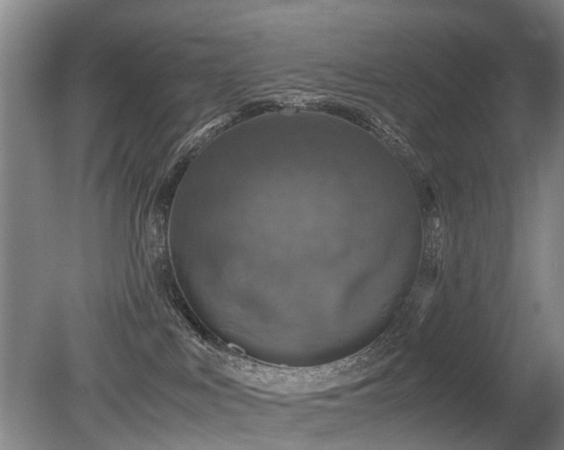 X0000079280043200611171037