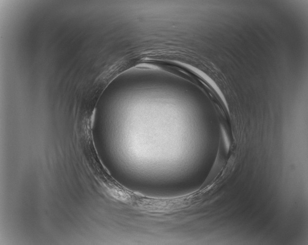 X0000079280045200611171037