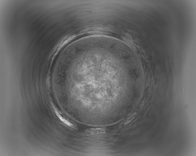 X0000079280050200611171036