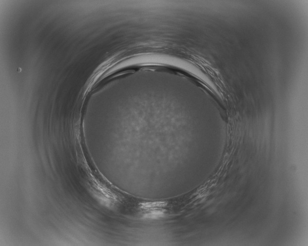 X0000079280051200611171036