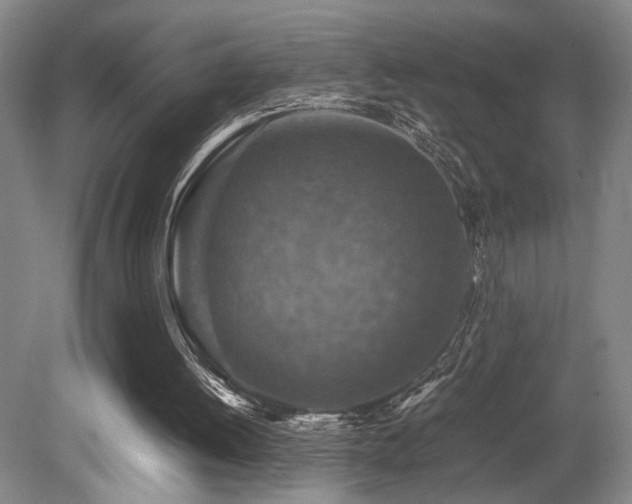 X0000079280052200611171036