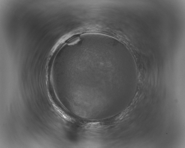 X0000079280054200611171036