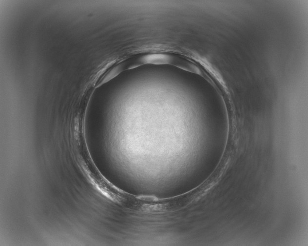 X0000079280057200611171036