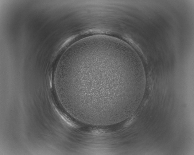 X0000079280062200611171036