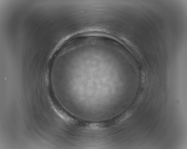 X0000079280064200611171036