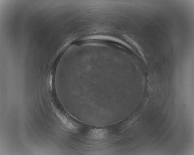 X0000079280067200611171036