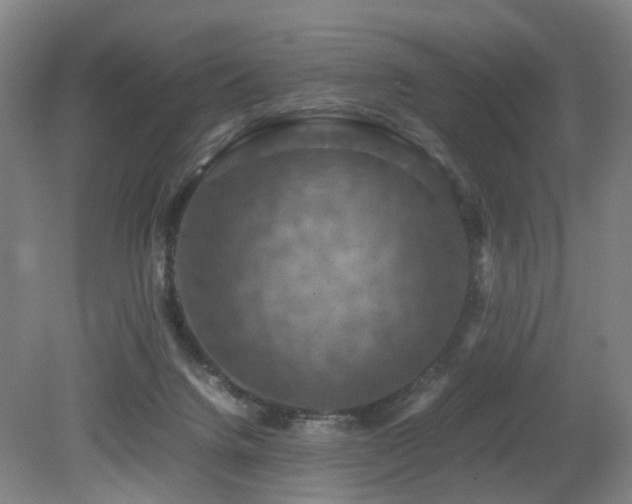X0000079280072200611171036