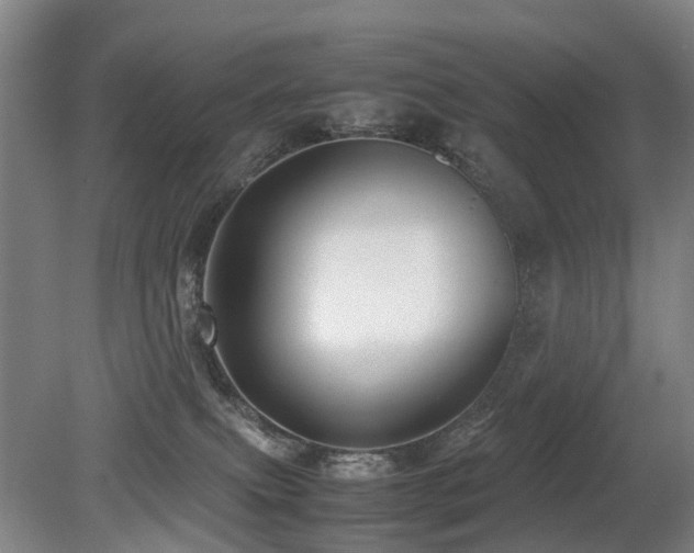 X0000079280087200611171036