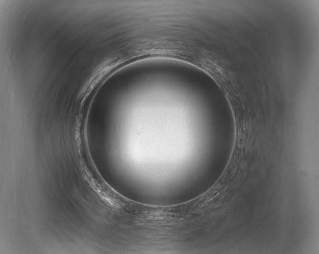 X0000079280098200611171036